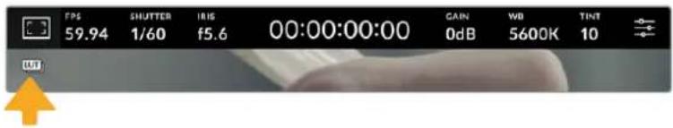 FPS SHUTTER IRIS 00:00:00:00 CAIN WB TINT 59.94 1/60 f5.6 0dB 5600K 10 LUT
