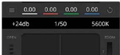 0.00 0.00 0.00 0.00 +24db 1/50 5600K OPEN ZOOM