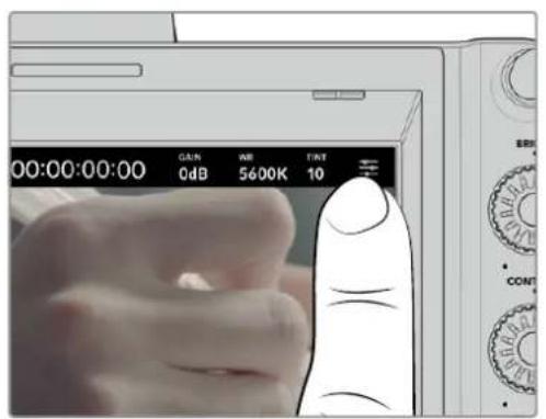 00:00:00:00 GAIN WE TINT 0dB 5600K 10