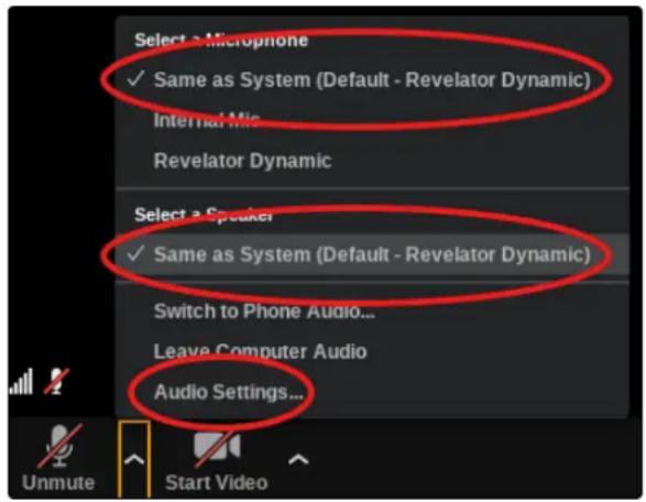 PRESONUS Revelator Dynamic - Utilisation du Revelator Dynamic avec zoom sur chromebook - 1