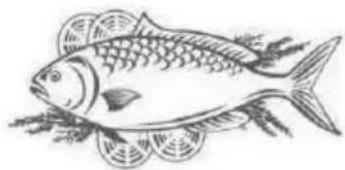 PROLINE PLF215SL - Poisson et fruits de mer - 1
