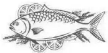 PROLINE PLF215SL - Fish and seafood - 1