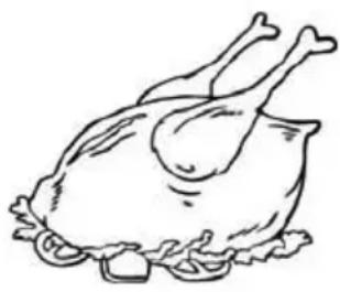 PROLINE PLF215SL - Poultry - 1