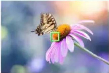 FUJIFILM XH2S - Mode de mise au point - 2