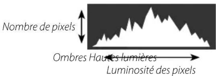 FUJIFILM XH2S - Histogrammes - 1