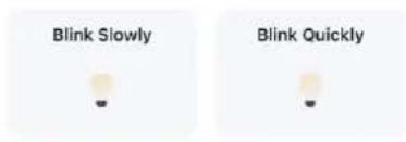 Blink Slowly Blink Quickly
