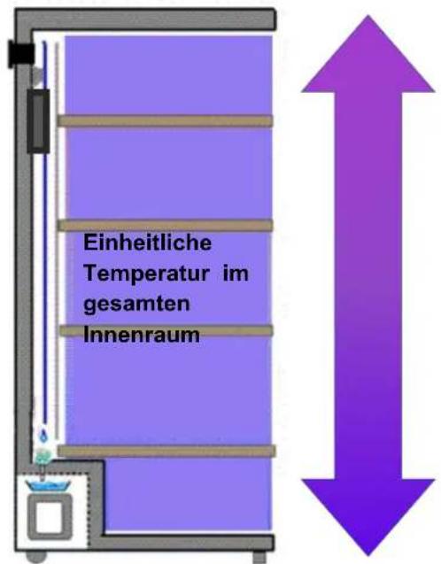 CLIMADIFF CPW204B1 - Einzelraum Weinkeller mit Einzeltemperatur: - 1