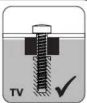 Tripp Lite DMCS5585WL - Sin Espaciadores - 5