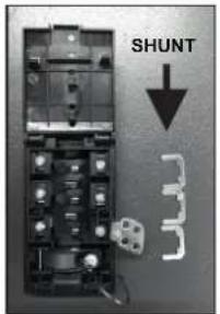 SHUNT