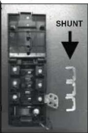 SHUNT