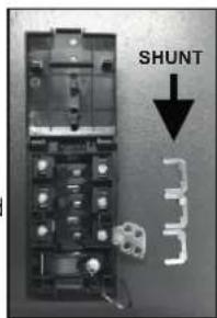 SHUNT