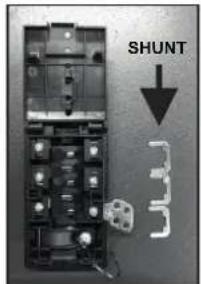 SHUNT