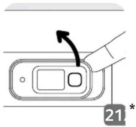 21 *