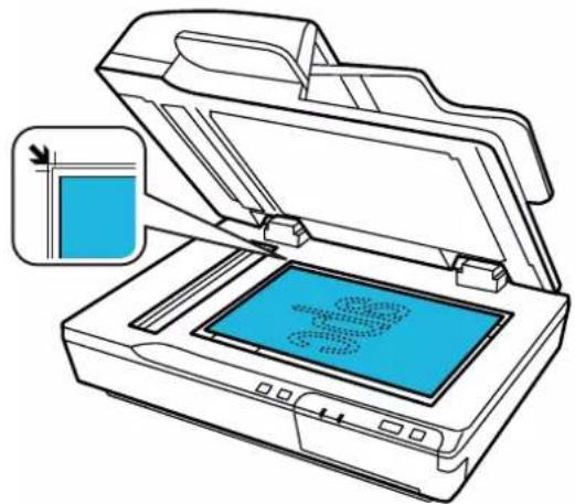EPSON WorkForce DS6500N - Caractéristiques et positionnement des originaux - 2