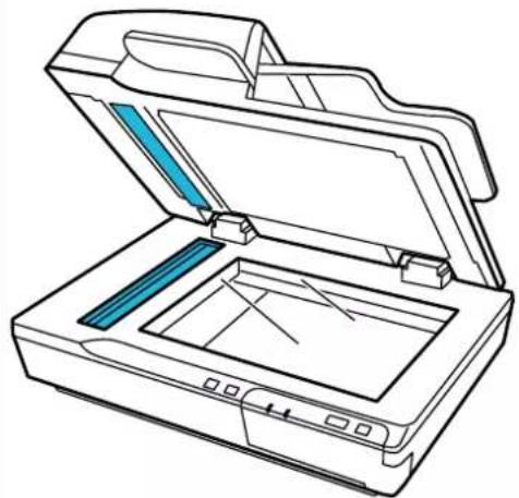 EPSON WorkForce DS6500N - Important: - 1