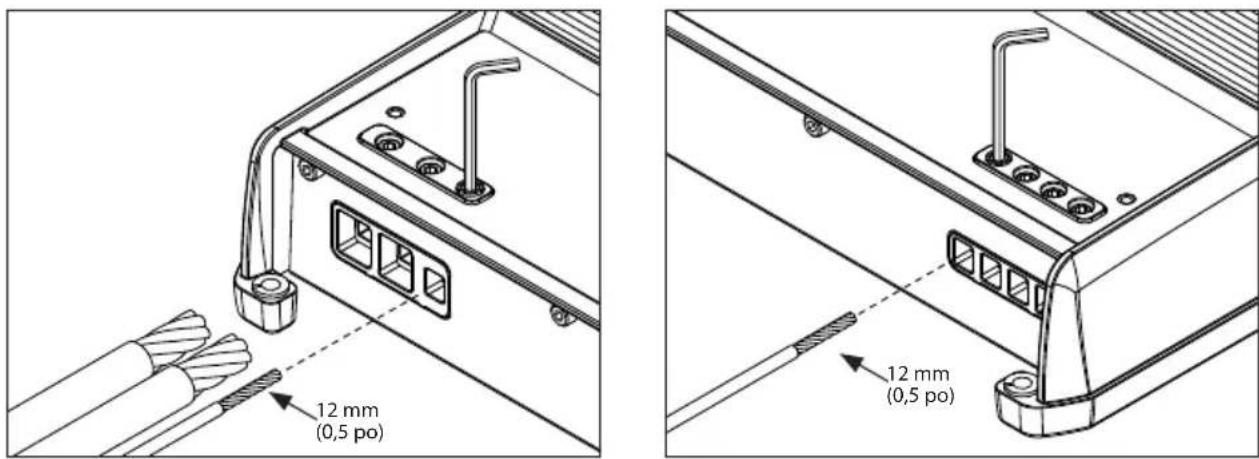 JL Audio XDM10001 - IMPORTANT! - 3