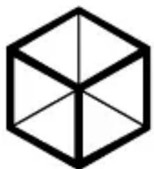 Icy Box IB2538STS - Screw type B - 1