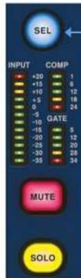 SEL INPUT COMP +20 1 +15 8 +10 12 +5 18 0 24 -5 -10 -15 5 -20 12 -25 20 -30 28 -35 34 GATE MUTE SOLO