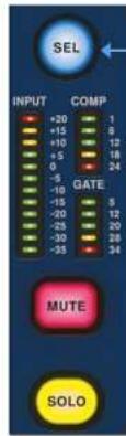 SEL INPUT COMP +20 1 +15 8 +10 12 +5 18 0 24 -5 -10 -15 5 -20 12 -25 20 -30 28 -35 34 GATE MUTE SOLO