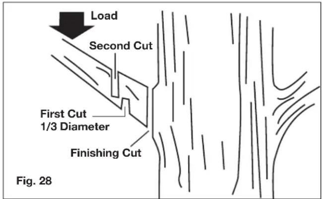 Sun Joe 24VPS8CMAXLTE - Pruning - 1