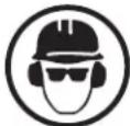 Sun Joe SWJ803ECMO - Safety Symbols - 6