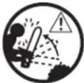 Sun Joe SWJ803ECMO - Safety Symbols - 7