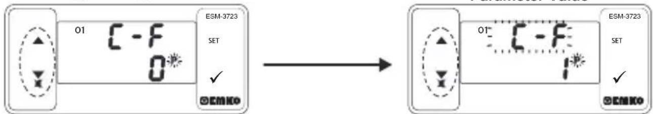 Emko ESM3723 - Programming Mode Entering Screen - 3