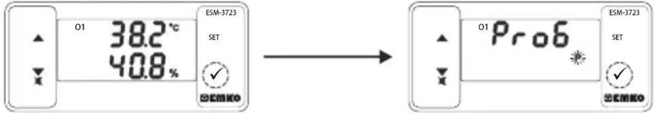 Emko ESM3723 - Entering To The Programming Mode, Changing and Saving Parameter - 1