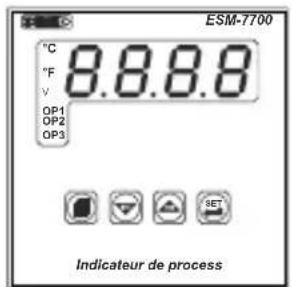 Emko ESM7700 - ESM-XX00 PROZESSANZEIGE - 8