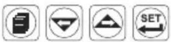 Emko ESM9900 - Multiplikationsfaktor (1.000, 9.999) - 6