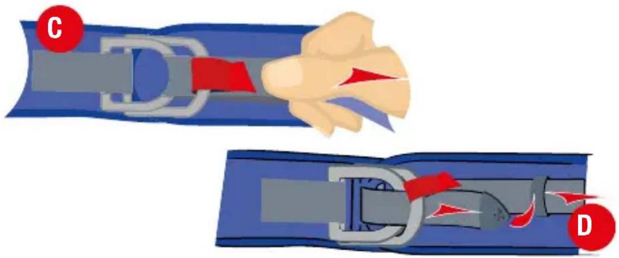 C D