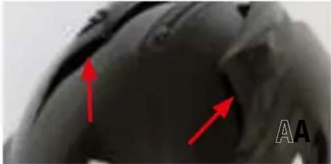 SHARK EVOGT - LOWER VENTILATION. - 2
