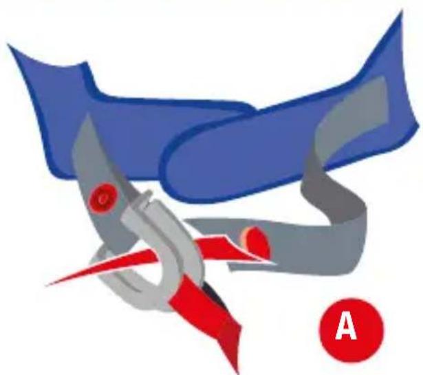 SHARK EVOGT - AN DEN BENUTZER ANGEPASSTE - 3