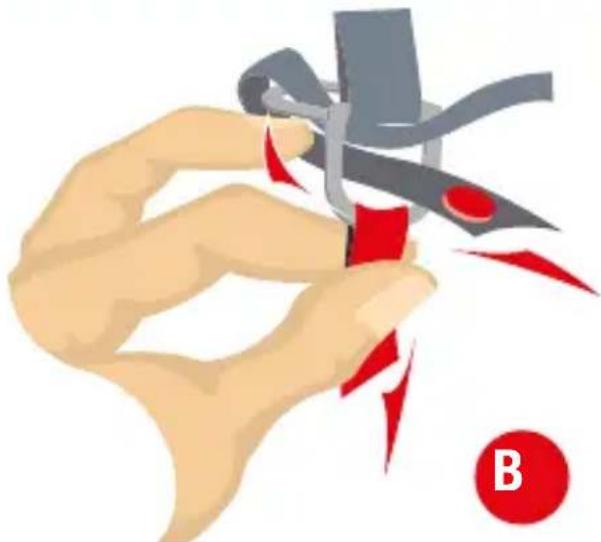 SHARK EVOGT - DOUBLE-D RING - 1