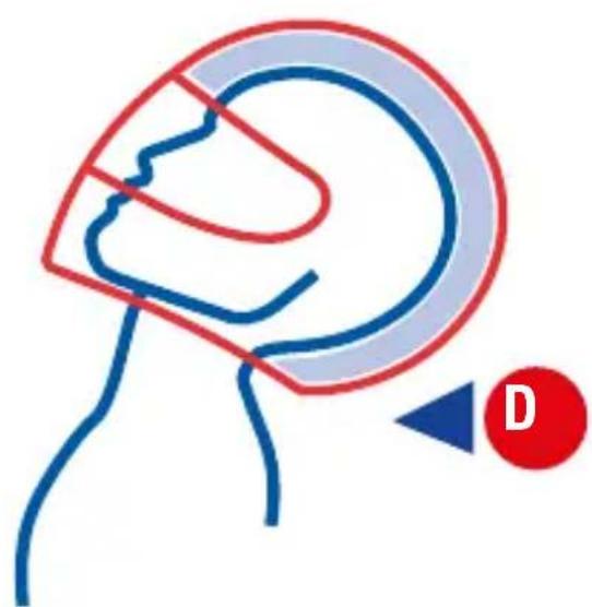 SHARK EVOGT - EIN HELM IN IHRER GRÖSSE - 2