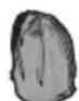 PANASONIC HXA025E - Supplied Accessories - 1