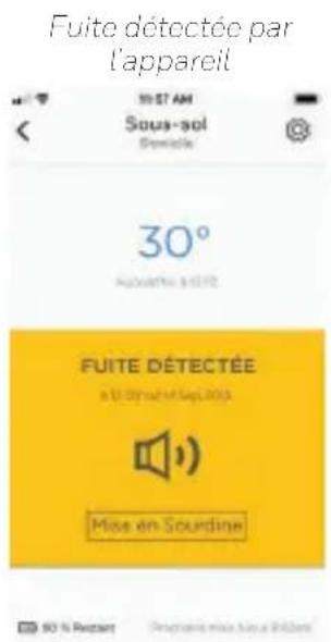 HONEYWELL RWD41T - Fonctionnement Expérience avec l'application Resideo - 1