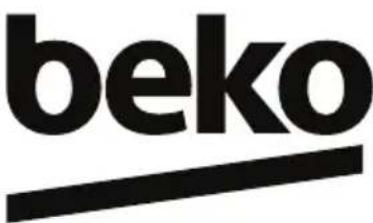 BEKO RCHE300K31SN - Selbstreparatur - 1