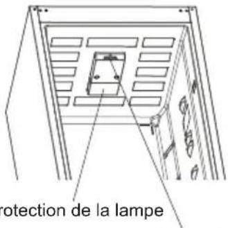Protection de la lampe