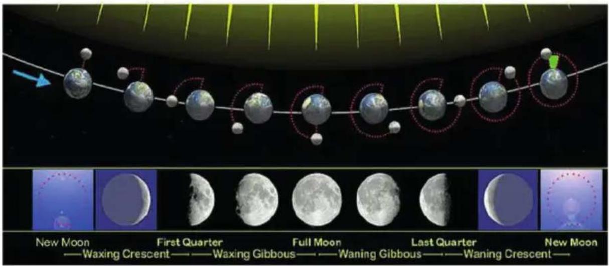New Moon —Waxing Crescent First Quarter —Waxing Gibbous Full Moon —Waning Gibbous Last Quarter —Waning Crescent New Moon