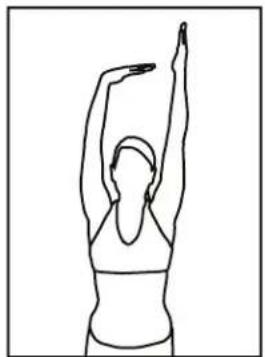 Bladez Fusion GSII - QUADRICEPS STRETCH - 3
