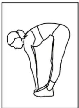 Bladez Master Mag - Étirement de l'intérieur de la CUISSE - 2