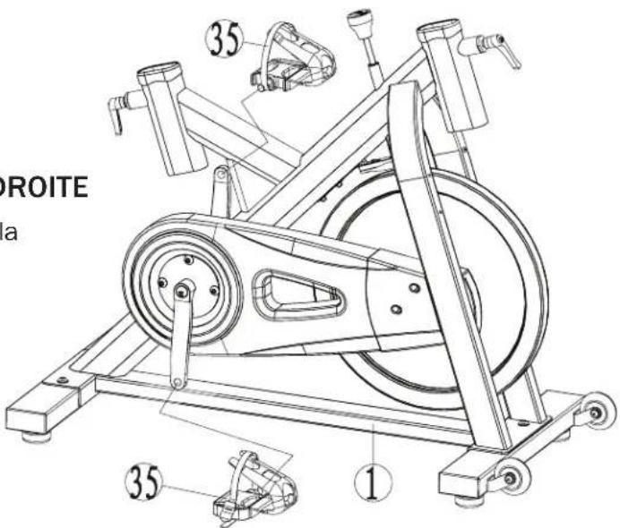 Bladez Master GS - Étirement de l'intérieur de la CUISSE - 6