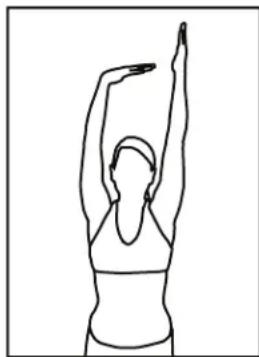 BH FITNESS S5RiB - Quadriceps Stretch - 3
