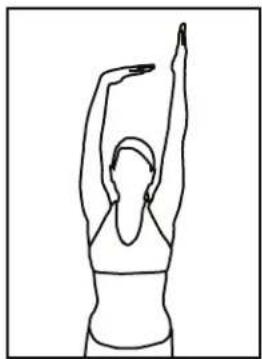 BH FITNESS S5RiB - GUIDE D'UTILISATION - 2