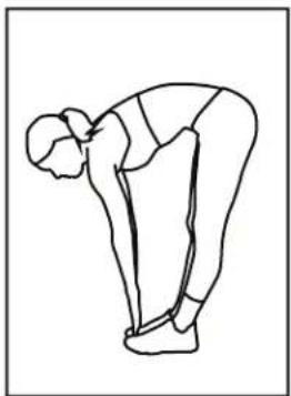 BH FITNESS S3IC - Étirement de l'intérieur de la cuisse - 2