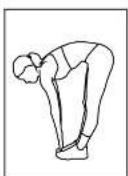 BH FITNESS S1UiB - Flexions avant - 1