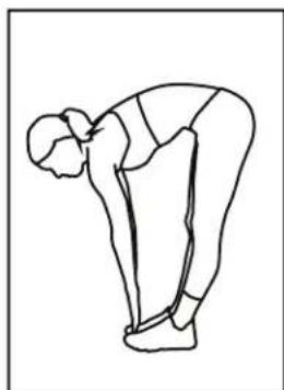 BH FITNESS LK700FB - Toe Touches - 1