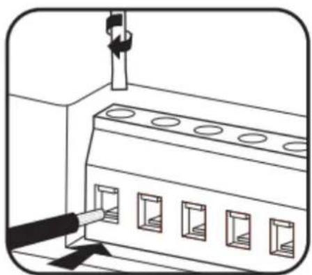 YSI EXO3s - Préparer les fils électriques. - 1