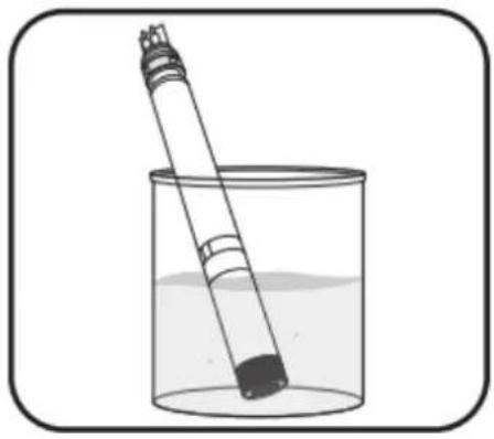 YSI EXO1s - Maintenance et réhydratation - 2